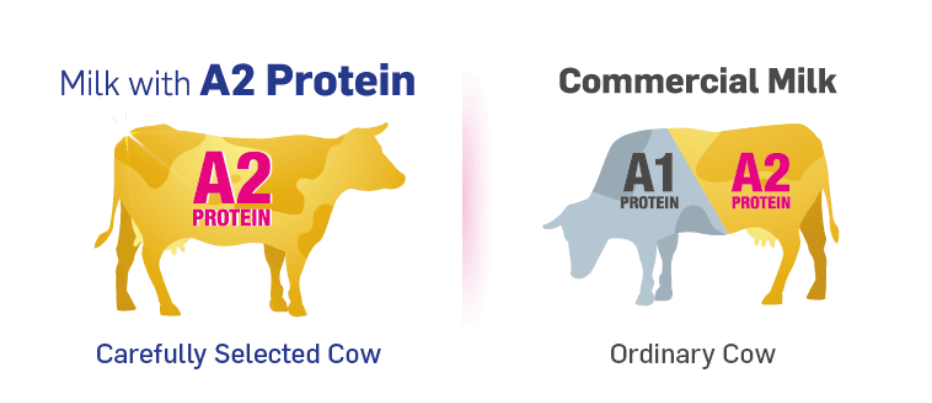 Promama A2 Protein